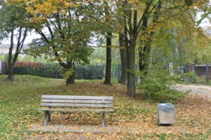 Frankfurt am Main, Unterliederbach, Emil-Siering-Park, Herbst