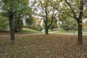 Frankfurt am Main, Unterliederbach, Emil-Siering-Park, Herbst