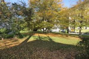 Frankfurt am Main, Unterliederbach, Sieringstraße, Herbst