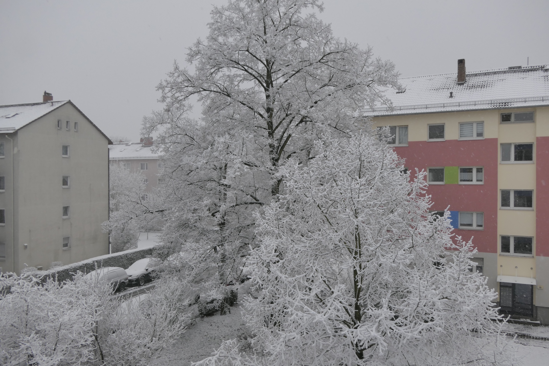 Frankfurt am Main, Schnee, Unterliederbach, Sieringstraße